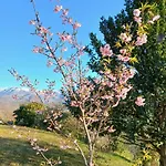 Holiday home Bellavista De Gredos *