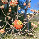 Bellavista De Gredos Holiday home