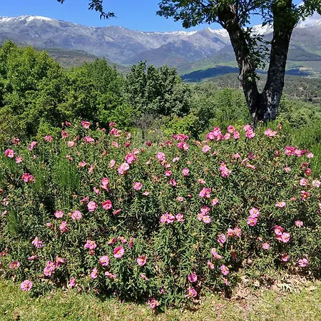 Bellavista De Gredos Madrigal de la Vera