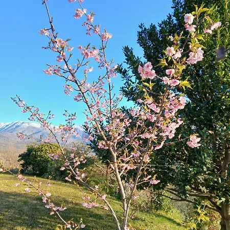 Holiday home Bellavista De Gredos *