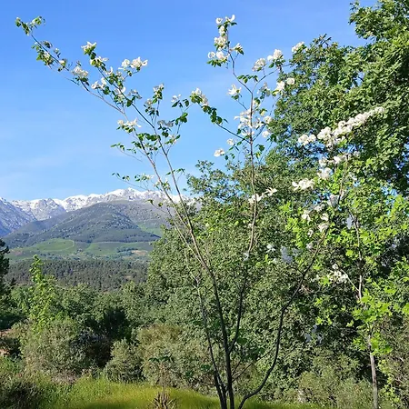 Bellavista De Gredos Holiday home