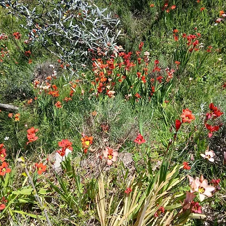 Holiday home Bellavista De Gredos *