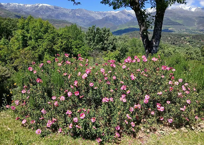 Bellavista De Gredos Madrigal de la Vera