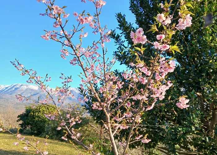 Holiday home Bellavista De Gredos *