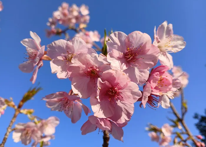Bellavista De Gredos *