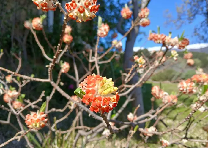 Bellavista De Gredos Holiday home