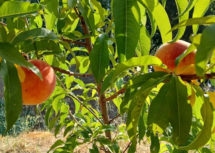 Bellavista De Gredos * Мадригаль-де-ла-Вера