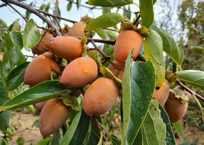 Bellavista De Gredos Holiday home